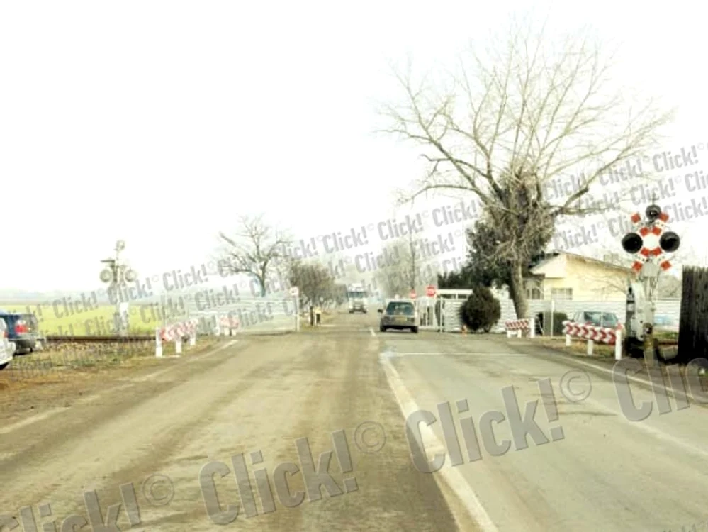 
    Drumul care duce  spre bază a fost  şi el reabilitat (FOTOGRAFII: MUGUREL MANEA)  