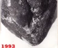 Manastire Pecica 6 jpg
