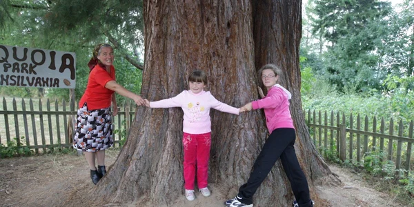 Cosmina Pop (foto centru) şi Ancuţa Paşcalău (foto dreapta) şi-au făcut un loc de joacă lângă arborele gigantic de lângă casa lor