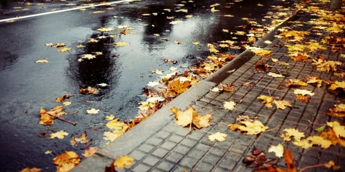 Meteo vreme toamna ploaie FOTO Shutterstock