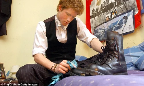 harry2 jpeg