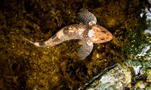 311598814 638688377625393 3506769209713640388 n jpg