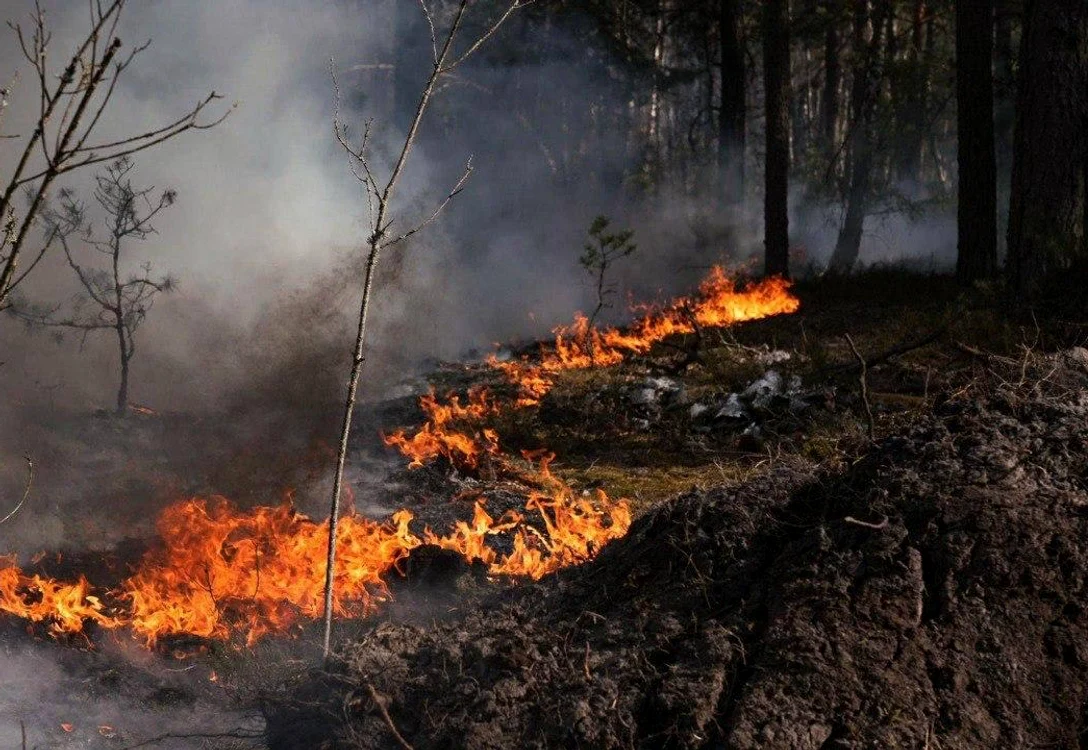 Incendiu la Cernobil FOTO: X/ Nexta