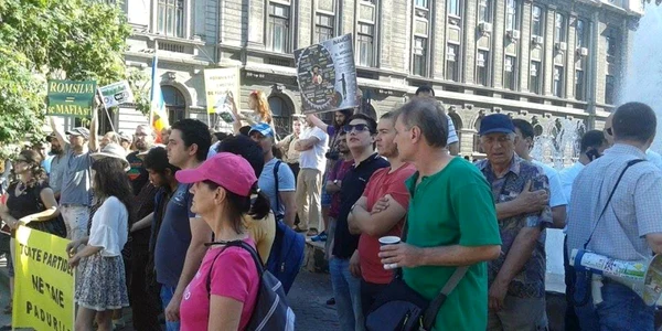 proteste fata de defrisarea padurilor in bucuresti foto vlad epurescu