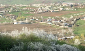 1618263 810390858990963 12373897 o jpg