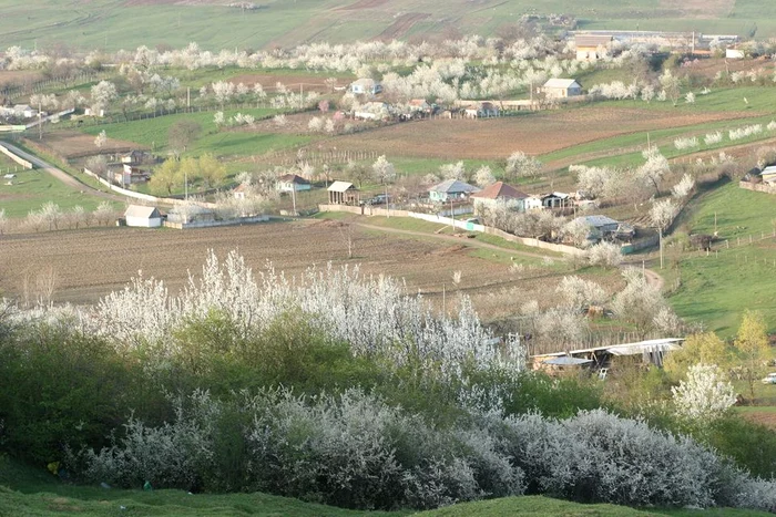 Comuna Bârnova este la aproape 10 km de Iași. Foto: primariacomunabarnova.ro