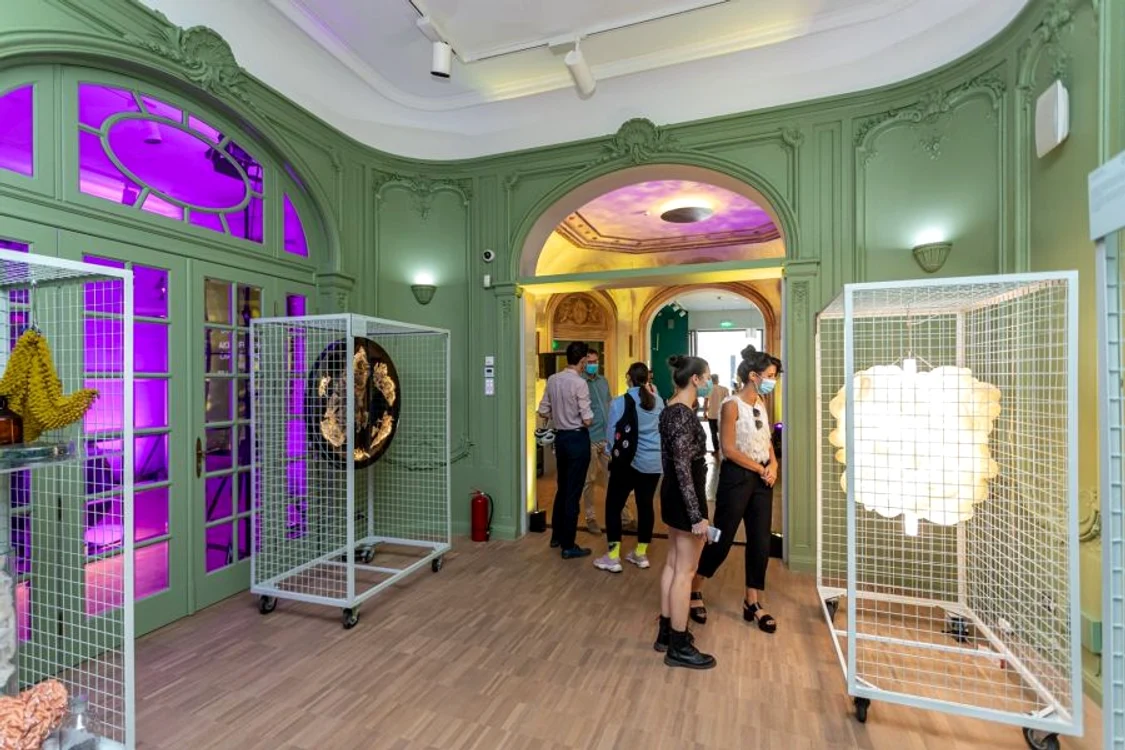 IQOS World și Design Flags, de la Qreator by IQOS, două dintre principalele atracții din cadrul Romanian Design Week jpeg