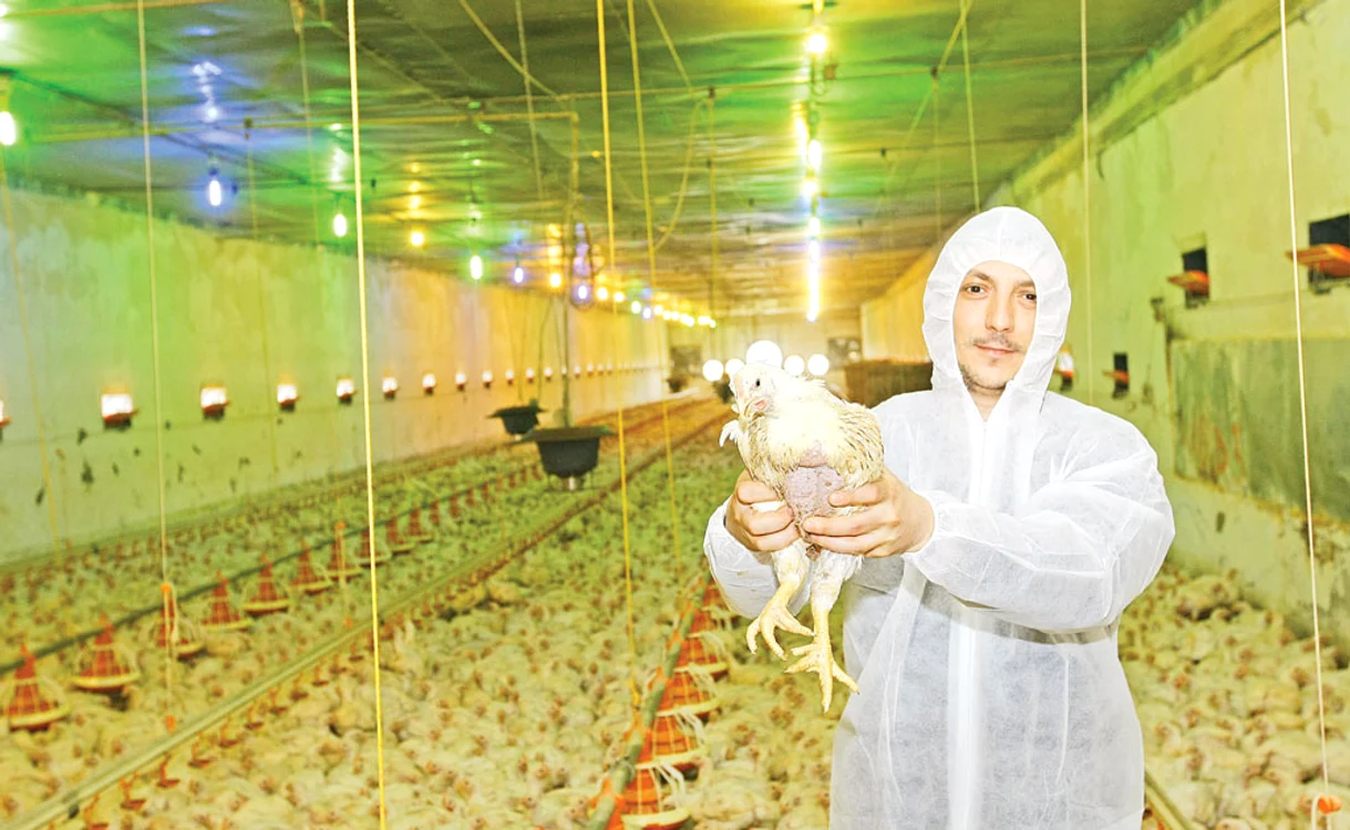 Medicul veterinar Petre Paul are sub control computerizat toată ferma din CălăraşiFoto: David Muntean