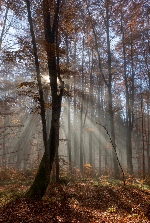 Vizita Principesei Sofia in Polonia februarie 2026 3  jpg