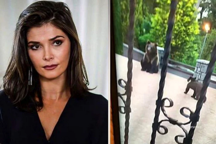 
    Copiii Alinei Pușcaș, vizitați de o ursoaică și puiul ei, la Sinaia  