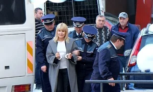 elena udrea catuse jpeg