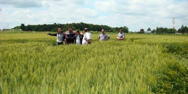 Bulgarii au trecut graniţa ilegal
