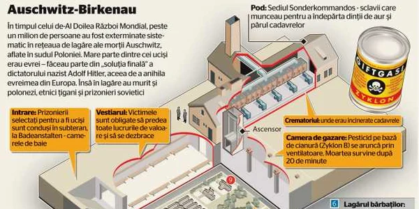 Infografie Holocaust Auschwitz-Birkenau