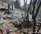Valea Retisoarei Foto Daniel Guță ADEVĂRUL (8) jpg