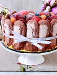 Tort cu piscoturi si fructe de padure  Sursa foto shutterstock 779903308 jpg