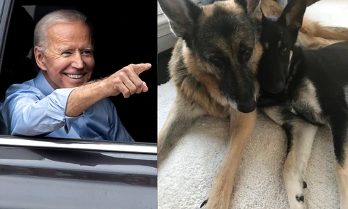 6 fotojet11111111 jpg jpeg