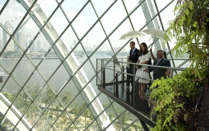 Kate în Singaporefoto: arhivă