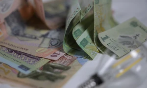 ID202818 INQUAM Photos Ioana Fredi Avram jpg