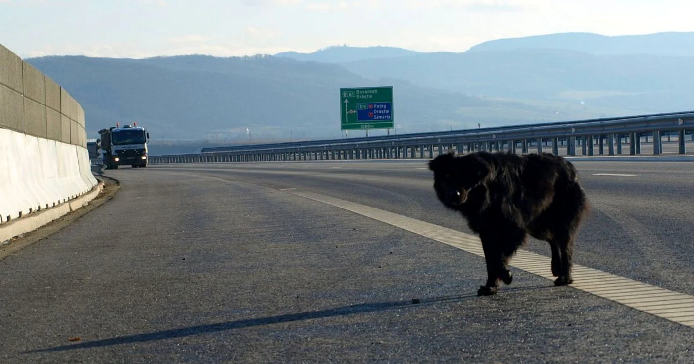 Autostrada Deva - Simeria Veche este prima şosea "de viteză" din judeţul Hunedoara. FOTO: D.G.