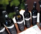 VinVest 2017 FOTO Ştefan Both
