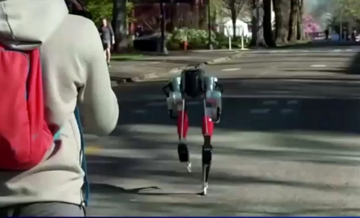Foto captura video