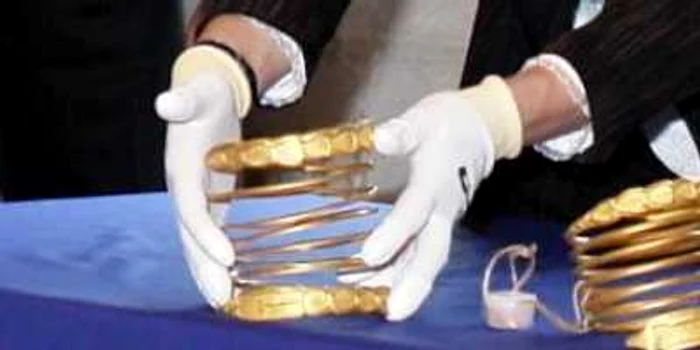 Hunedoara: VIDEO Pledoarie finală în procesul aurarilor
