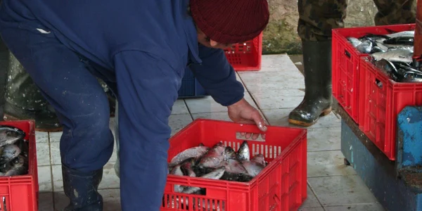 Razii efectuate în mai 2011 (arhivă)