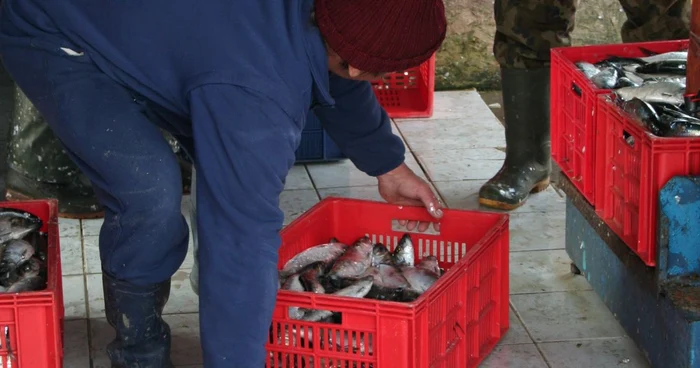 Razii efectuate în mai 2011 (arhivă)