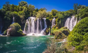 kravice istock jpg