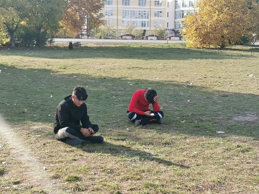 Afgan parc din Timişoara FOTO Ş.Both