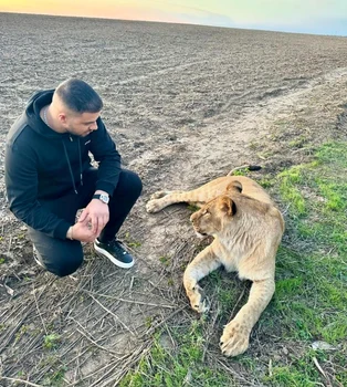 Culiță s-a jucat cu leii foto Instagram
