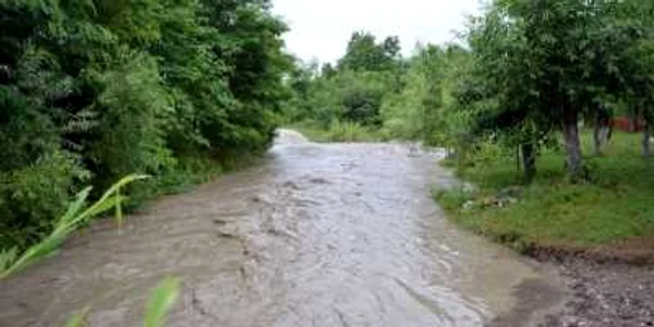 inundatii alba
