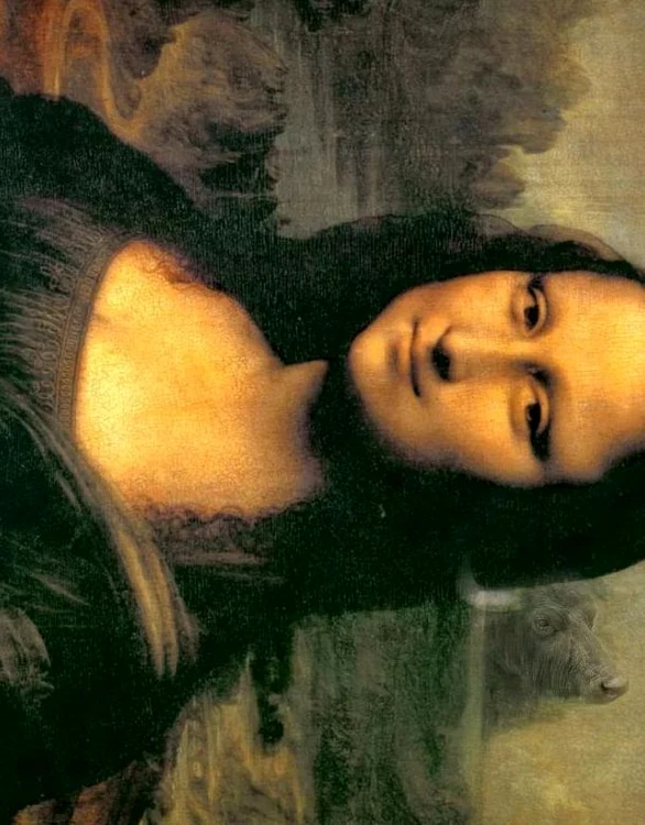 mona lisa, gioconda, leonardo da vinci, animale, capete, leu, maimuta, bivol, web, descoperire