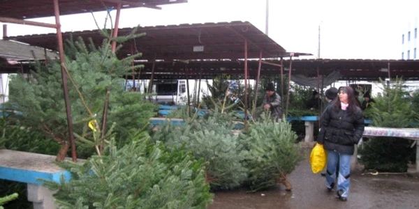 Brazii din pieţele mureşene vor fi aduşi din alte judeţe