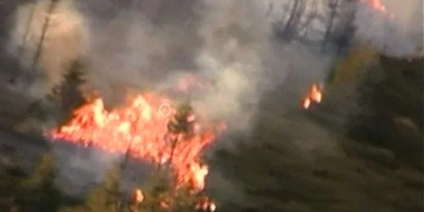 Incendiu de proportii in padurea de la Gura Lotrului