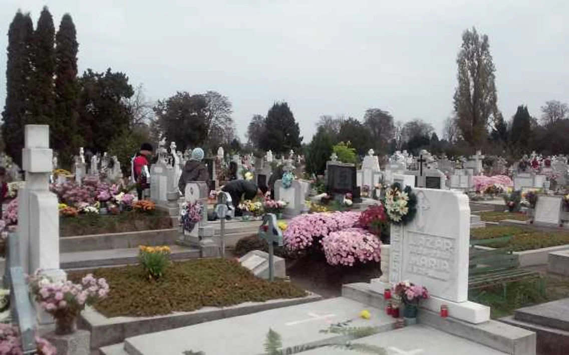 cimitir