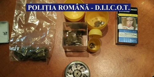 Cinci traficanţi de canabis şi haşiş din municipiul Bacău au fost arestaţi de DIICOT