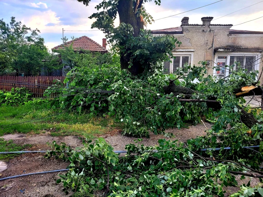 FOTO: ISU Giurgiu
