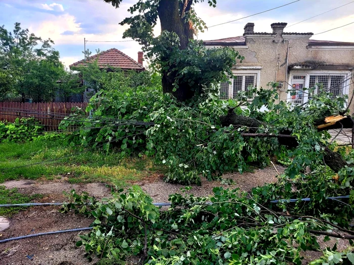 FOTO: ISU Giurgiu