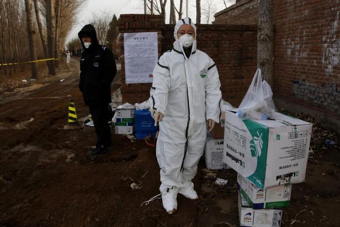 Un ofiţer de la prevenţia epidemiilor investighează o zonă închisă din cauza pestei porcine africane în districtul Tongzhou din Beijing China FOTO EPA-EFE / Wu Hong