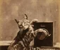 historia ro undefined jpeg