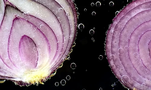 onion 2699531 640 jpeg