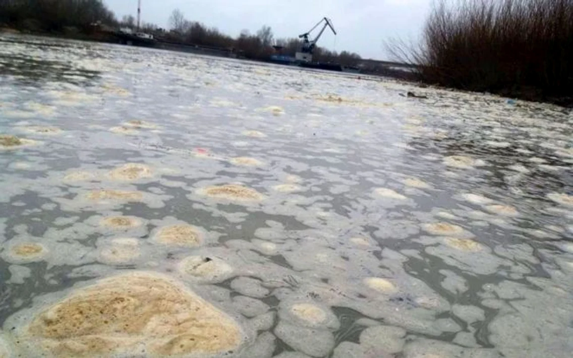 Poluare pe râul Siret FOTO Valentin Tudose