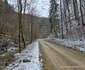 Valea Anineșului Drumul spre Fața Cetei (6) jpg
