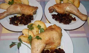 CLIIMA20121025 0039 1 jpeg