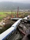 Accident de tren în Grecia FOTO Profimedia 