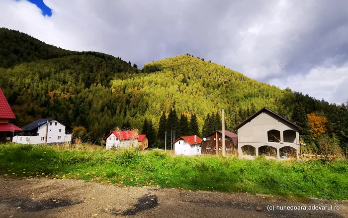 Cabane din Râușor. Foto: Daniel Guță