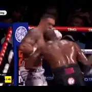 uski gif gif