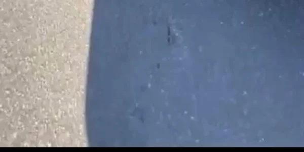 WhatsApp Video 2023 09 02 at 20 29 18 mp4 thumbnail png