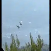 elicoptere piloti romani grecia 3 (1) gif